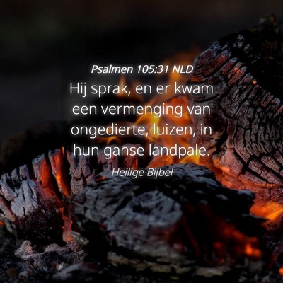 Picture 04 - Psalmen 105:31 NLD - Hij sprak, en er kwam een vermenging van - Bible Verse Picture
