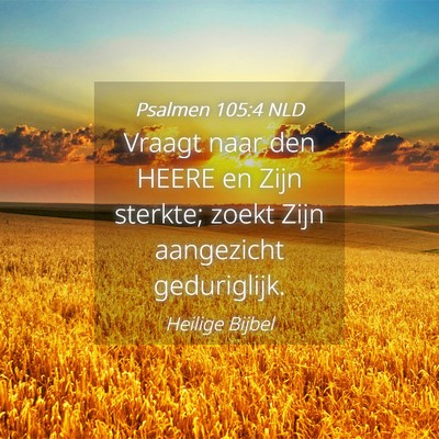 Picture 04 - Psalmen 105:4 NLD - Vraagt naar den HEERE en Zijn sterkte; zoekt Zijn - Bible Verse Picture