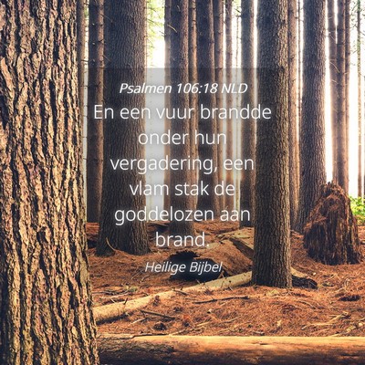 Picture 04 - Psalmen 106:18 NLD - En een vuur brandde onder hun vergadering, een - Bible Verse Picture