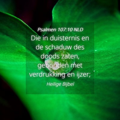 Picture 04 - Psalmen 107:10 NLD - Die in duisternis en de schaduw des doods zaten, - Bible Verse Picture