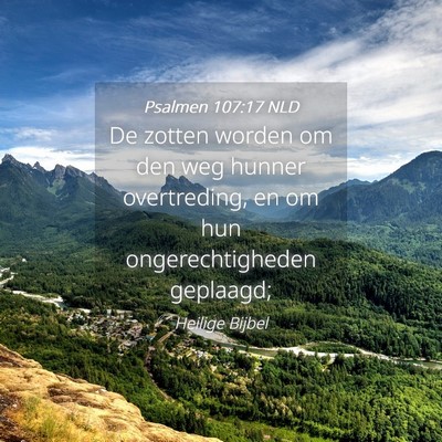 Picture 04 - Psalmen 107:17 NLD - De zotten worden om den weg hunner overtreding, - Bible Verse Picture