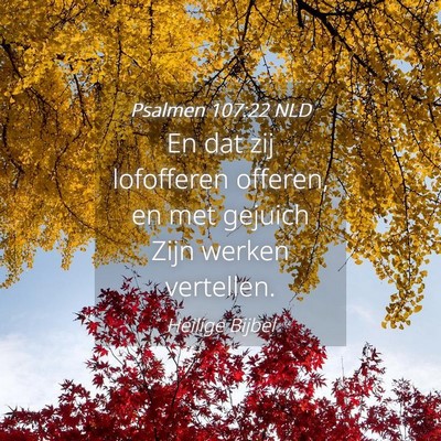 Picture 04 - Psalmen 107:22 NLD - En dat zij lofofferen offeren, en met gejuich - Bible Verse Picture