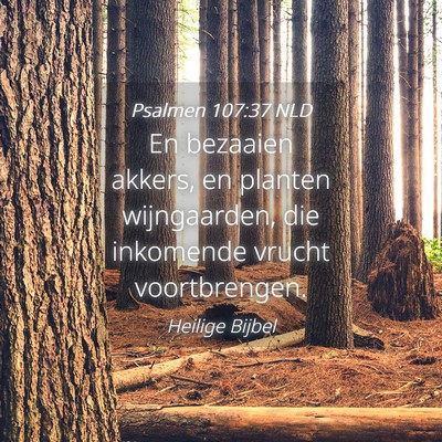 Picture 04 - Psalmen 107:37 NLD - En bezaaien akkers, en planten wijngaarden, die - Bible Verse Picture