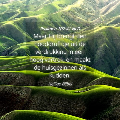 Picture 04 - Psalmen 107:41 NLD - Maar Hij brengt den nooddruftige uit de - Bible Verse Picture