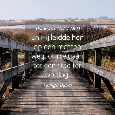 Picture 04 - Psalmen 107:7 NLD - En Hij leidde hen op een rechten weg, om te gaan - Bible Verse Picture