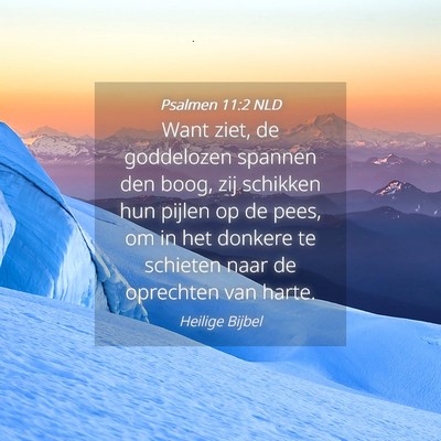 Picture 04 - Psalmen 11:2 NLD - Want ziet, de goddelozen spannen den boog, zij - Bible Verse Picture
