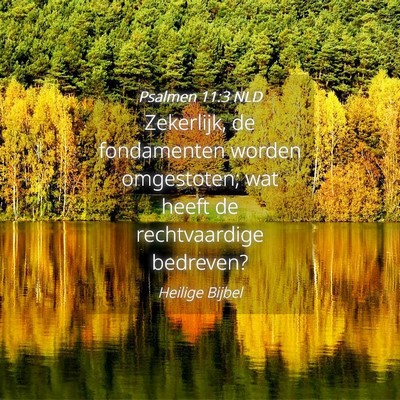 Picture 04 - Psalmen 11:3 NLD - Zekerlijk, de fondamenten worden omgestoten; wat - Bible Verse Picture