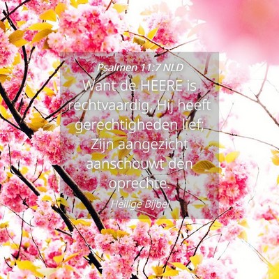 Picture 04 - Psalmen 11:7 NLD - Want de HEERE is rechtvaardig, Hij heeft - Bible Verse Picture