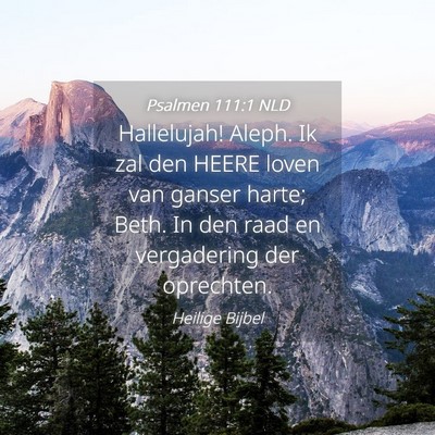 Picture 04 - Psalmen 111:1 NLD - Hallelujah! Aleph. Ik zal den HEERE loven van - Bible Verse Picture