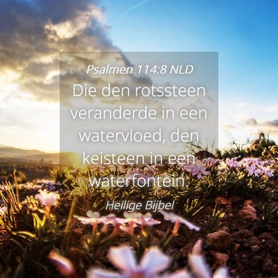 Picture 04 - Psalmen 114:8 NLD - Die den rotssteen veranderde in een watervloed, - Bible Verse Picture