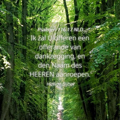 Picture 04 - Psalmen 116:17 NLD - Ik zal U offeren een offerande van dankzegging, - Bible Verse Picture
