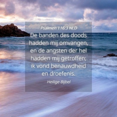 Picture 04 - Psalmen 116:3 NLD - De banden des doods hadden mij omvangen, en de - Bible Verse Picture