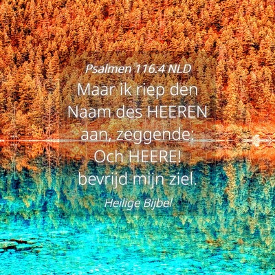 Picture 04 - Psalmen 116:4 NLD - Maar ik riep den Naam des HEEREN aan, zeggende: - Bible Verse Picture