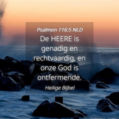 Picture 04 - Psalmen 116:5 NLD - De HEERE is genadig en rechtvaardig, en onze God - Bible Verse Picture
