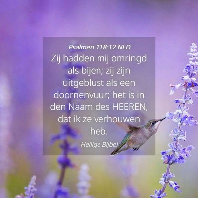 Picture 04 - Psalmen 118:12 NLD - Zij hadden mij omringd als bijen; zij zijn - Bible Verse Picture