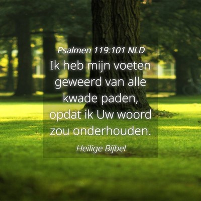 Picture 04 - Psalmen 119:101 NLD - Ik heb mijn voeten geweerd van alle kwade paden, - Bible Verse Picture