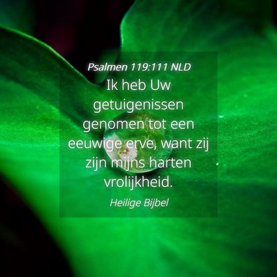 Picture 04 - Psalmen 119:111 NLD - Ik heb Uw getuigenissen genomen tot een eeuwige - Bible Verse Picture