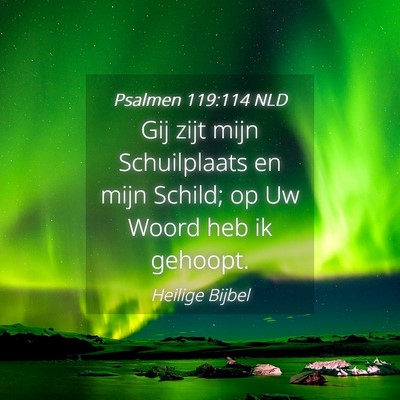 Picture 04 - Psalmen 119:114 NLD - Gij zijt mijn Schuilplaats en mijn Schild; op Uw - Bible Verse Picture