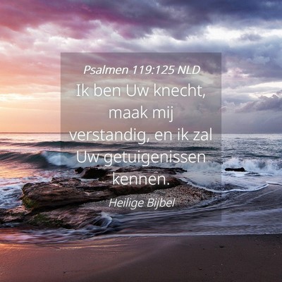 Picture 04 - Psalmen 119:125 NLD - Ik ben Uw knecht, maak mij verstandig, en ik zal - Bible Verse Picture
