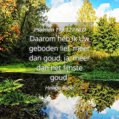 Picture 04 - Psalmen 119:127 NLD - Daarom heb ik Uw geboden lief, meer dan goud, ja, - Bible Verse Picture