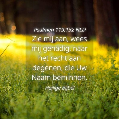 Picture 04 - Psalmen 119:132 NLD - Zie mij aan, wees mij genadig, naar het recht aan - Bible Verse Picture