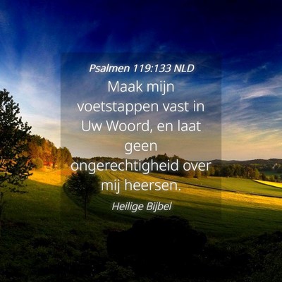 Picture 04 - Psalmen 119:133 NLD - Maak mijn voetstappen vast in Uw Woord, en laat - Bible Verse Picture