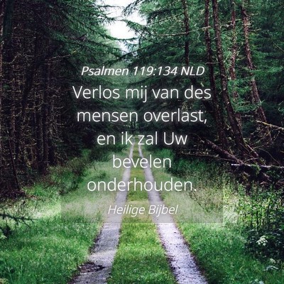 Picture 04 - Psalmen 119:134 NLD - Verlos mij van des mensen overlast, en ik zal Uw - Bible Verse Picture