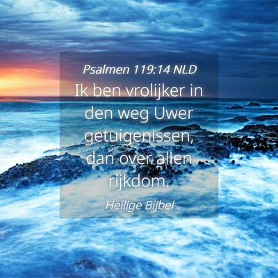 Picture 04 - Psalmen 119:14 NLD - Ik ben vrolijker in den weg Uwer getuigenissen, - Bible Verse Picture