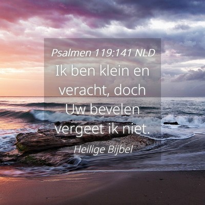 Picture 04 - Psalmen 119:141 NLD - Ik ben klein en veracht, doch Uw bevelen vergeet - Bible Verse Picture