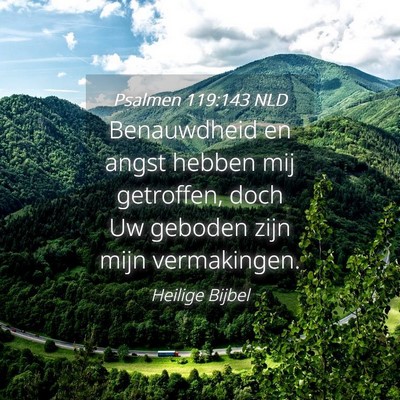Picture 04 - Psalmen 119:143 NLD - Benauwdheid en angst hebben mij getroffen, doch - Bible Verse Picture