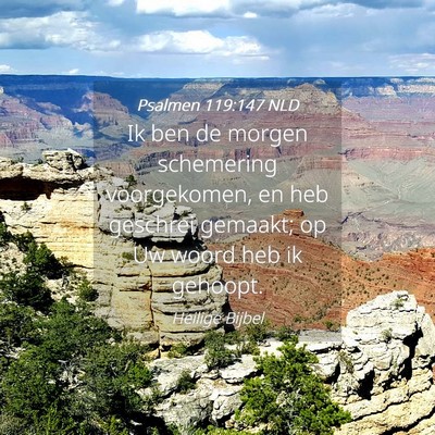 Picture 04 - Psalmen 119:147 NLD - Ik ben de morgen schemering voorgekomen, en heb - Bible Verse Picture