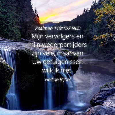 Picture 04 - Psalmen 119:157 NLD - Mijn vervolgers en mijn wederpartijders zijn - Bible Verse Picture