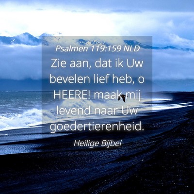 Picture 04 - Psalmen 119:159 NLD - Zie aan, dat ik Uw bevelen lief heb, o HEERE! - Bible Verse Picture