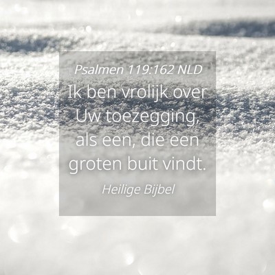 Picture 04 - Psalmen 119:162 NLD - Ik ben vrolijk over Uw toezegging, als een, die - Bible Verse Picture