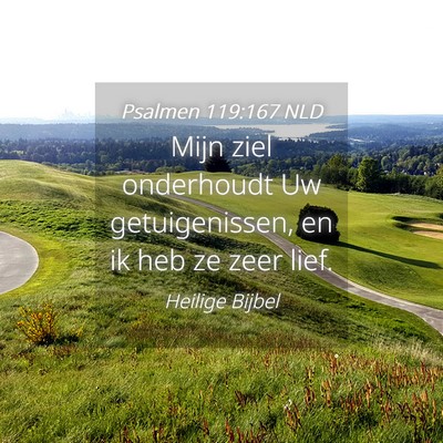 Picture 04 - Psalmen 119:167 NLD - Mijn ziel onderhoudt Uw getuigenissen, en ik heb - Bible Verse Picture