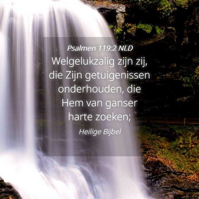 Picture 04 - Psalmen 119:2 NLD - Welgelukzalig zijn zij, die Zijn getuigenissen - Bible Verse Picture