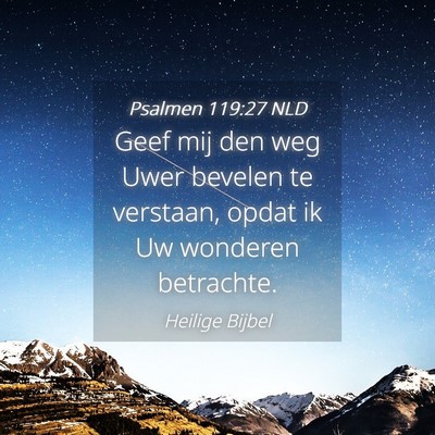 Picture 04 - Psalmen 119:27 NLD - Geef mij den weg Uwer bevelen te verstaan, opdat - Bible Verse Picture