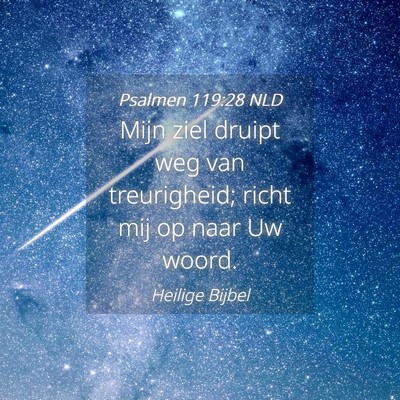 Picture 04 - Psalmen 119:28 NLD - Mijn ziel druipt weg van treurigheid; richt mij - Bible Verse Picture