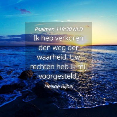 Picture 04 - Psalmen 119:30 NLD - Ik heb verkoren den weg der waarheid, Uw rechten - Bible Verse Picture