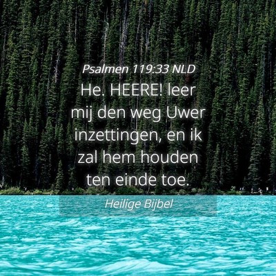 Picture 04 - Psalmen 119:33 NLD - He. HEERE! leer mij den weg Uwer inzettingen, en - Bible Verse Picture