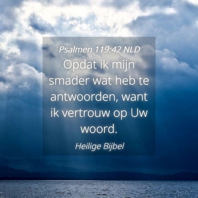 Picture 04 - Psalmen 119:42 NLD - Opdat ik mijn smader wat heb te antwoorden, want - Bible Verse Picture