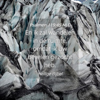 Picture 04 - Psalmen 119:45 NLD - En ik zal wandelen in de ruimte, omdat ik Uw - Bible Verse Picture