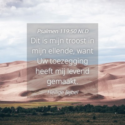 Picture 04 - Psalmen 119:50 NLD - Dit is mijn troost in mijn ellende, want Uw - Bible Verse Picture