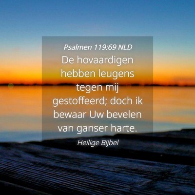 Picture 04 - Psalmen 119:69 NLD - De hovaardigen hebben leugens tegen mij - Bible Verse Picture