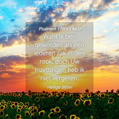Picture 04 - Psalmen 119:83 NLD - Want ik ben geworden als een lederen zak in den - Bible Verse Picture