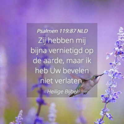 Picture 04 - Psalmen 119:87 NLD - Zij hebben mij bijna vernietigd op de aarde, maar - Bible Verse Picture
