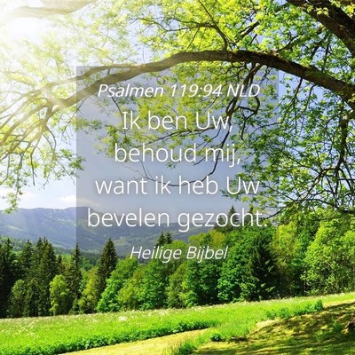 Picture 04 - Psalmen 119:94 NLD - Ik ben Uw, behoud mij, want ik heb Uw bevelen - Bible Verse Picture