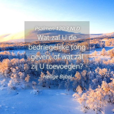Picture 04 - Psalmen 120:3 NLD - Wat zal U de bedriegelijke tong geven, of wat zal - Bible Verse Picture