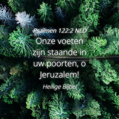 Picture 04 - Psalmen 122:2 NLD - Onze voeten zijn staande in uw poorten, o - Bible Verse Picture