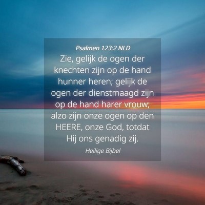 Picture 04 - Psalmen 123:2 NLD - Zie, gelijk de ogen der knechten zijn op de hand - Bible Verse Picture